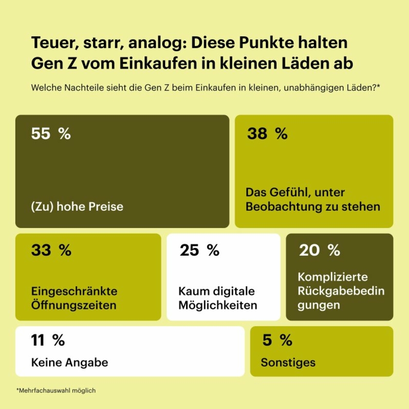 Umfrage-Gen-Z-Grafik-kleine-Laeden-Copyright-Faire.jpg