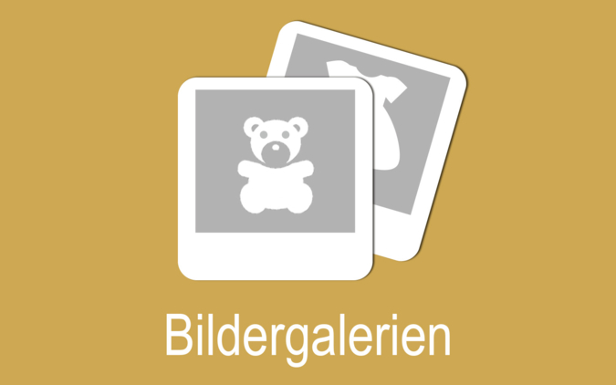Icon Bildergalerien