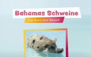 Bahamas-SchweineScarlett.jpg