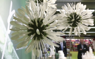 Aus nachwachsenden Rohstoffen: Auch das Papstar Recycling-Plastikbesteck wurde vor der Ecostyle durch einen Fachbeirat anhand von fünf Nachhaltigk...