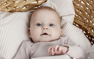 Green_Cotton_Bettwäsche