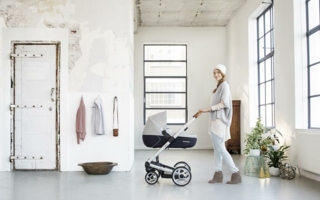 aaRGB Igo pure fog - landscape_web