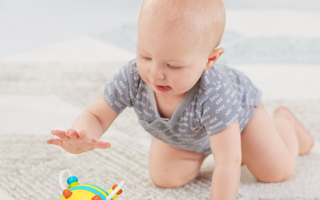 1498076245_13_E&M_FollowBeeCrawlToy_L(648)