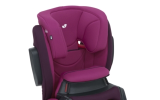 Traver_Shield_Dahlia_Angle_hr