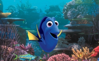 Dory