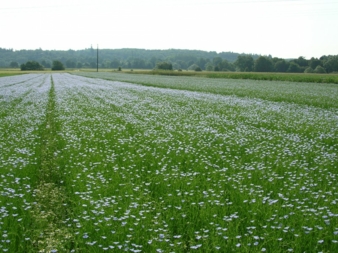 02.02.2015: hessnatur: Textiles Bewusstsein