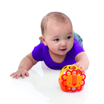 aa oball-rollie-rattles-lifestyle