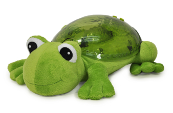 aa Tranquil-Frog-1000x656