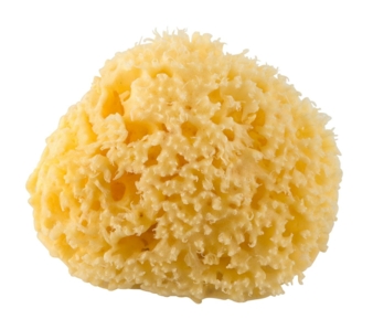 Rotho Babydesign Badeschwamm Mittelmeer