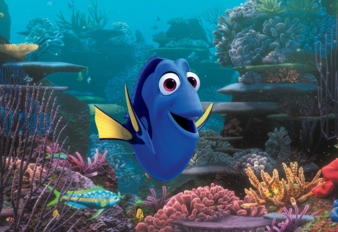 Dory