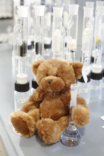 Teddy-auf-Schadstoffe-getestet.jpg